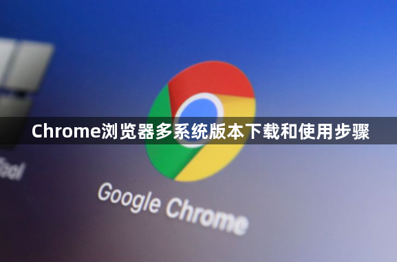 Chrome浏览器多系统版本下载和使用步骤1