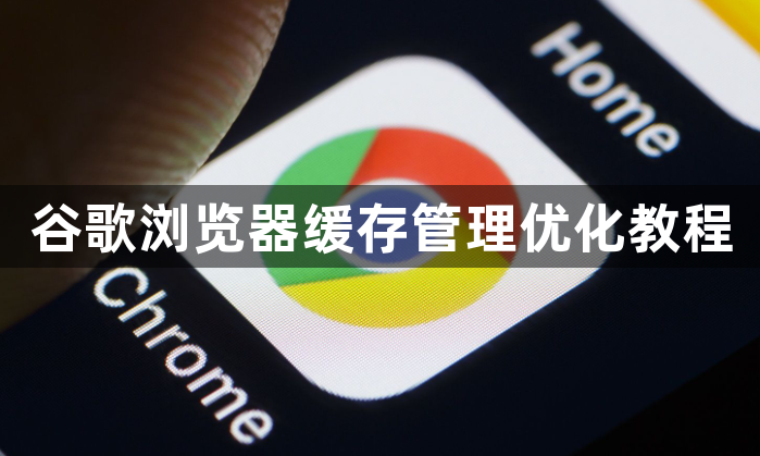 谷歌浏览器缓存管理优化教程1