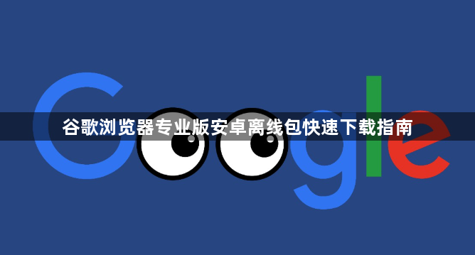 谷歌浏览器专业版安卓离线包快速下载指南1