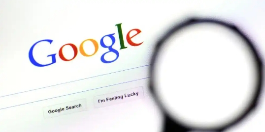google浏览器网页录制功能适合哪些用户使用