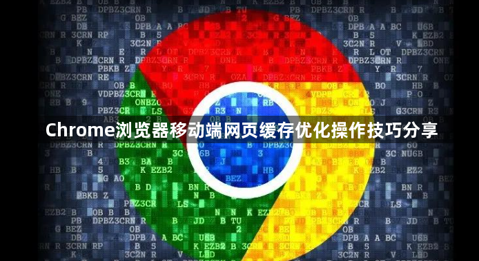 Chrome浏览器移动端网页缓存优化操作技巧分享1
